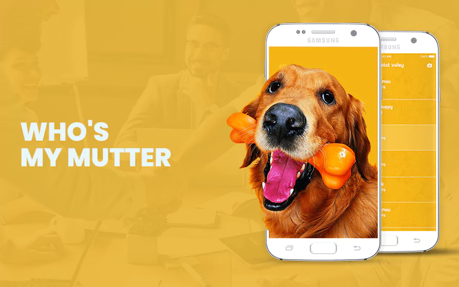 cover img 2 65b36b83bd8e8