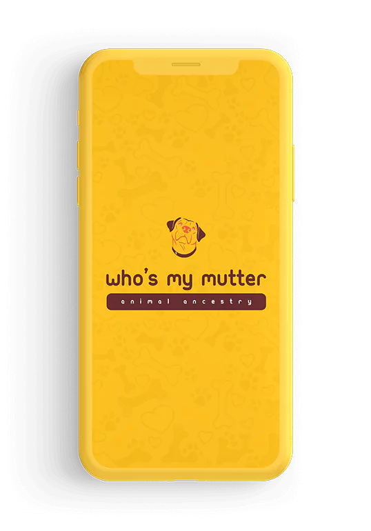 whosmymutter-01-65b247348aa0d